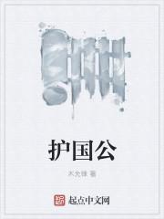 唐朝护国公是谁