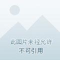 穿成炮灰反派怎么破