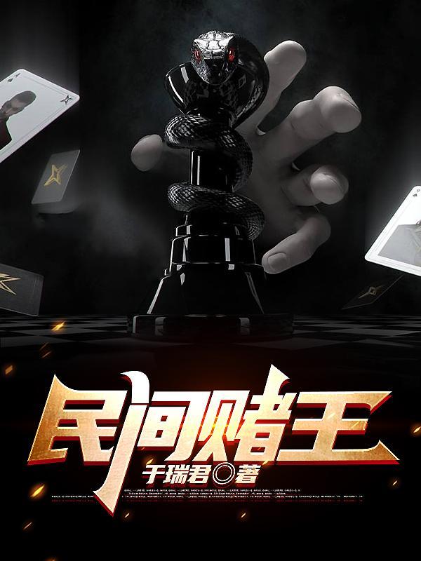 民间赌王TXT